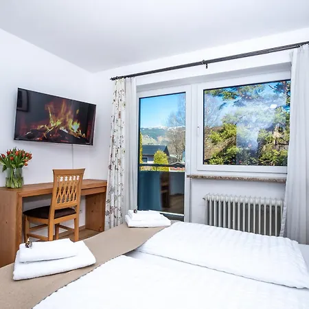 Apartmán Alpina Apartments - Zell Am See - Air Condition *