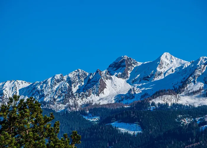 Alpina - Zell Am Zell am See