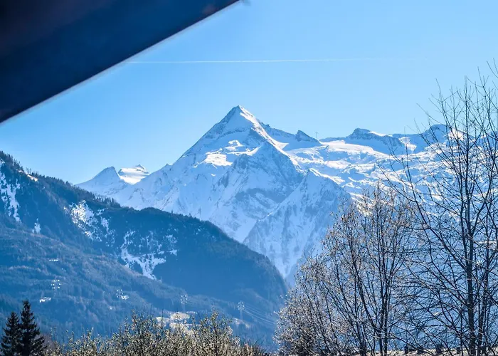 Alpina - Zell Am