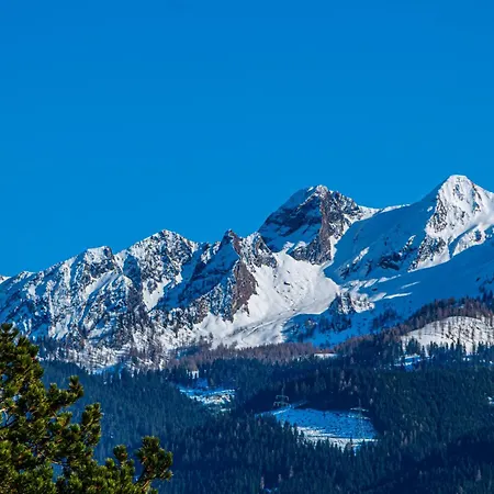 Alpina - Zell Am Zell am See