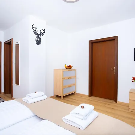 Haus Alpina Apartment *